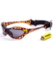 Ocean Cumbuco Shiny Brown / Smoke - Sunglasses Sport