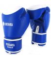 Boxing gloves Guantes de Boxeo BoxeoArea 124 Azul