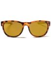 Gafas de Sol Casual - Ocean Goldcoast Brown marron