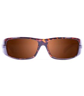 Sunglasses Sport Ocean Zodiac Brown