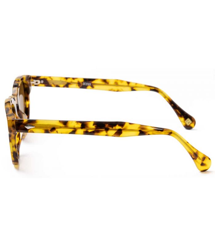 Gafas de Sol Casual - Ocean Hampton Brown marron Gafas de Sol
