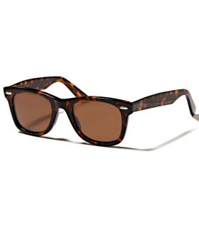 Sunglasses Casual Ocean Walker Brown