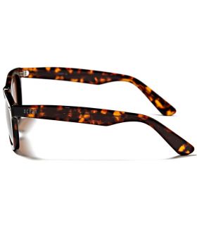 Sunglasses Casual Ocean Walker Brown
