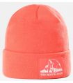 Caps The North Face The North Face Gorro Dock Worker Orange