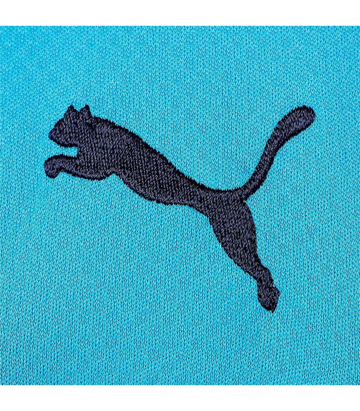 Equipaciones Oficiales Fútbol Puma Camiseta 1ª equipación del