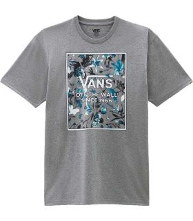 Vans Camiseta Vans Night Garden Box-B Gris - T-shirts Lifestyle