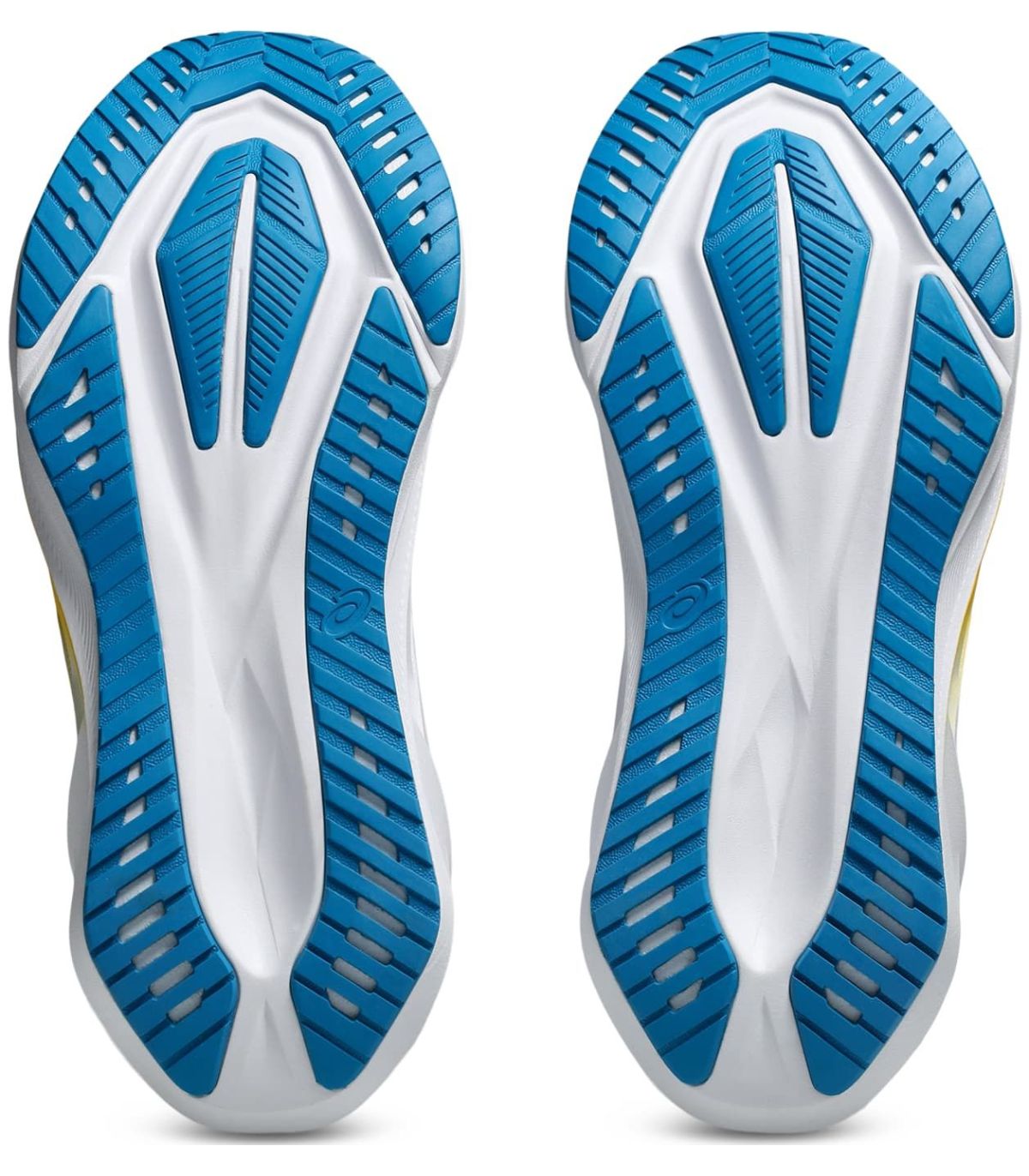 Asics Novablast 5 Gravel: Reactividad y Energía Explosiva