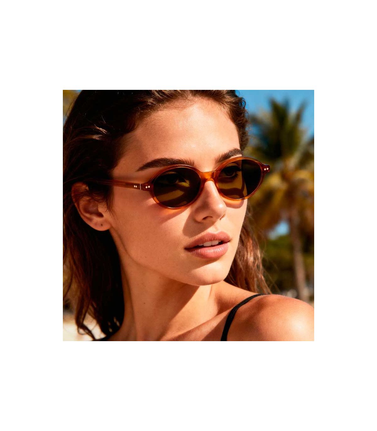 Ocean Gafas de Sol Polarizadas L,Espiguette Transparent Brown / Brown | montura ovalada translúcida