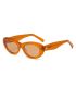 Gafas de sol polarizadas Ocean Sardinero Brown con montura ligera y lentes marrones.