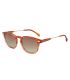 Ocean Gafas de Sol Polarizadas Classic 4 Brown / Brown