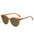 Ocean Gafas de Sol Polarizadas Classic 3 Transparent Honey / Green