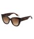 Gafas de sol polarizadas Ocean New Era 4 marrones para deportistas.