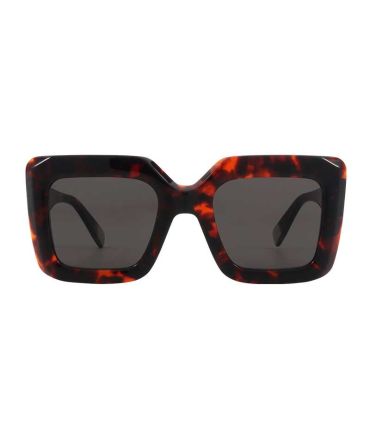 Ocean Gafas de Sol Polarizadas New Era 5 Brown / Brown | Carey retro