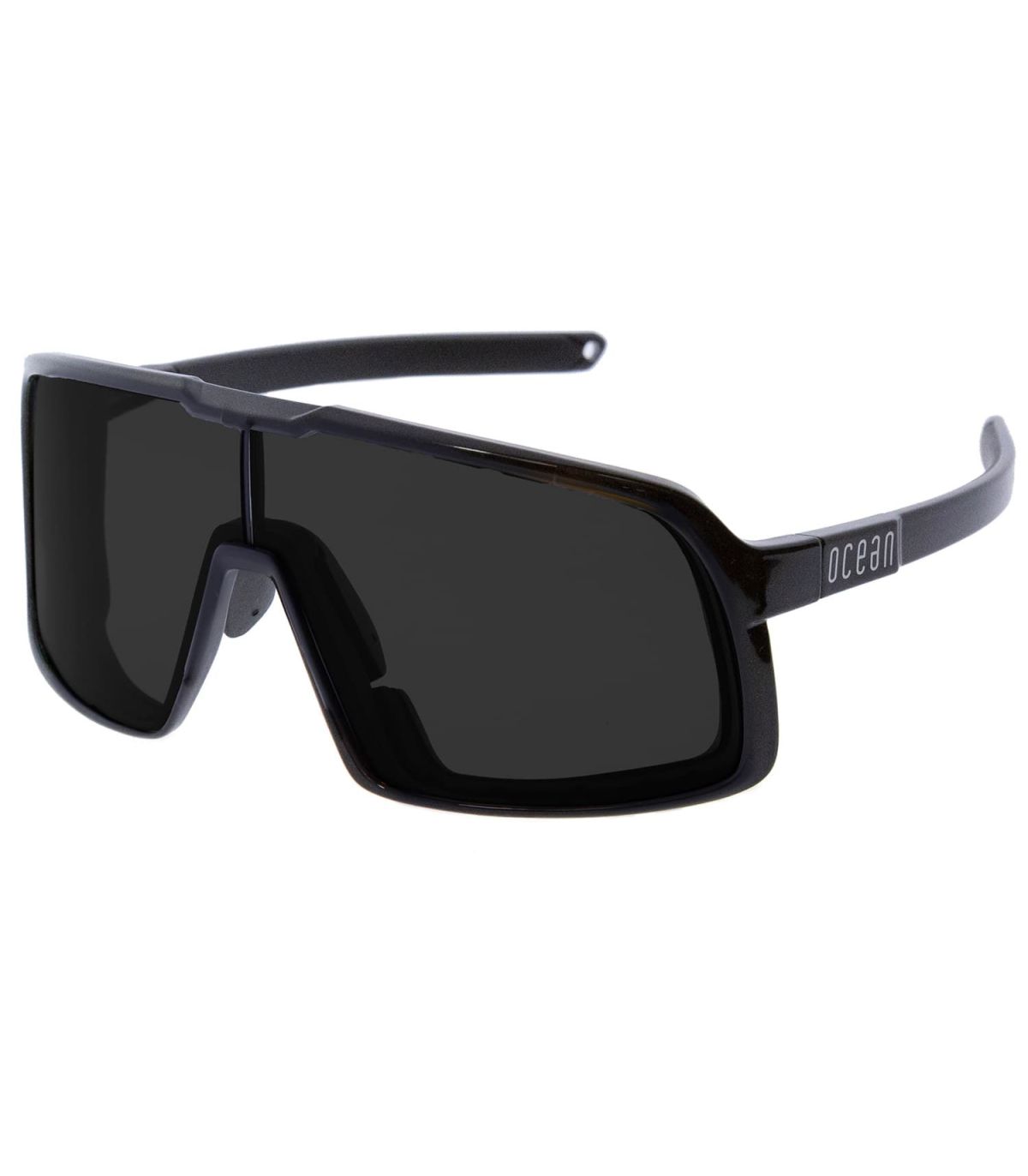 Ocean Gafas de Sol Polarizadas Leu Matte Black / Smoke | Modular